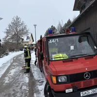 ÖlspurAltfalter.jpeg