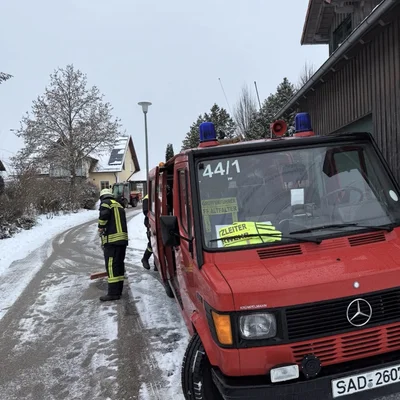 ÖlspurAltfalter.jpeg